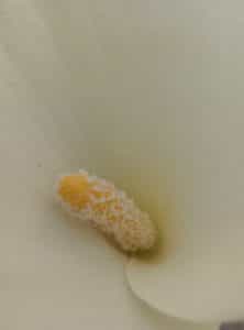 P50326-140122