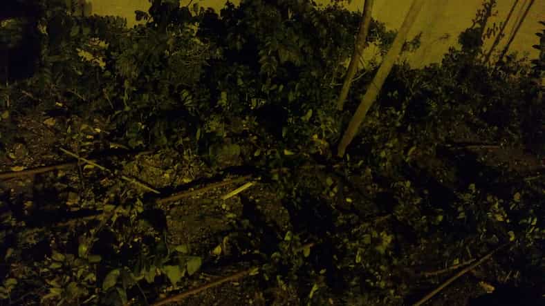 צילום במצב לילה