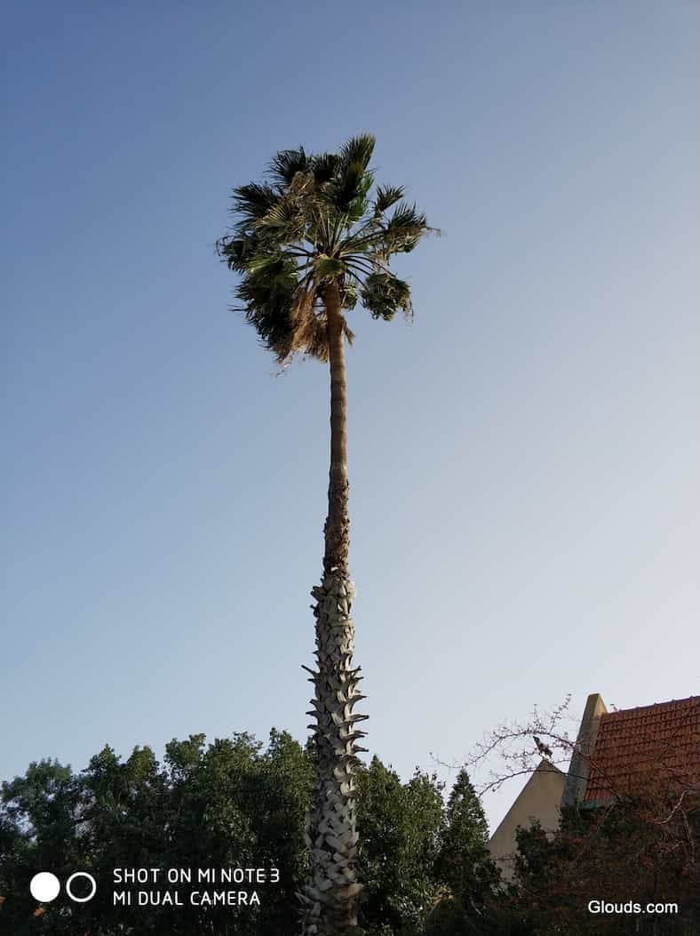 IMG_20180226_161155_BURST1