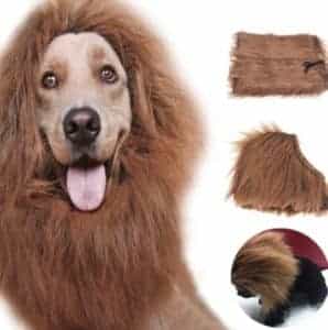 2018 11 21 13 07 40 Pet Costume Cat Clothes Fancy Dress Up Lion Mane Wig for Cats Small Large Dogs 1