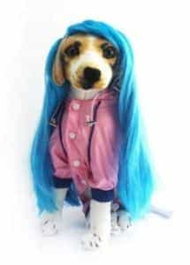2018 11 21 13 22 52 New Long Wavy Wig Wigs Collar Cosplay Party Pet Dog Cat Long Blue Hair Dress Des