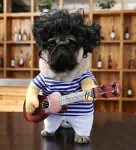 2018 11 21 13 27 35 Funny Pet Guitar Clothes With Glasses with Wig Dog Guitarist Dressing Costume Pe