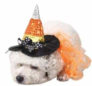 2018 11 21 16 23 19 Dog Halloween Costume Witch Wig Hat Chihuahua Dog Accessories For Small Dogs Pet