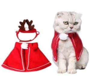 2018 11 22 11 43 56 New Pet Costume For A Cat Cloaks Mantle With Buckhorn Suit Set Clothes For Cats