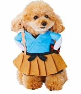 2018 11 22 11 57 17 Funny Cat Costume Uniform Suit Cat Clothes Costume Puppy Clothes Dressing Up Sui