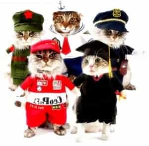 2018 11 22 12 05 29 Funny Cat Clothes Costume Sex Nurse Policeman Suit Clothing For Cat Cool Hallowe