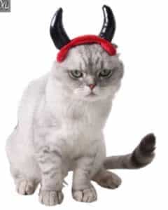 2018 11 22 12 14 27 panDaDa New Year OX Horns Cat Hat Matador Shape Pet Dog Product Red Halloween Pa