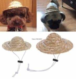 2018 11 25 09 55 40 Pet Sombrero Hat Dog Cat Hat Small Large Diameter 14cm 16cm in Dog Caps from Hom
