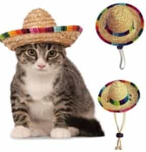 2018 11 25 10 34 26 Dog Cat Mexican Straw Sombrero Hat Multicolor Pet Straw Hat Pet Adjustable Buckl