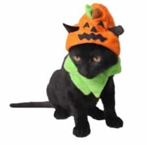 2018 11 25 11 39 11 Pet Halloween Christmas Head Ornaments for Cats Small Dogs Puppies Festival Hats
