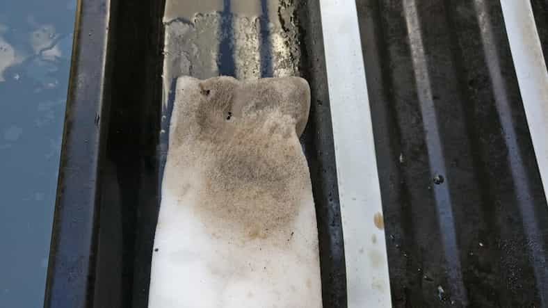 ืกืคืื ืืืืชื