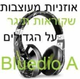 סקירה BLUEDIO (A) AIR